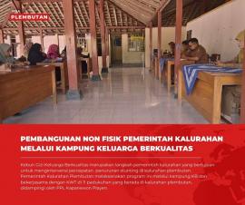 Kampung KB Kalurahan Plembutan Kembangkan Kebun Gizi Keluarga Berkualitas  Bersama KWT